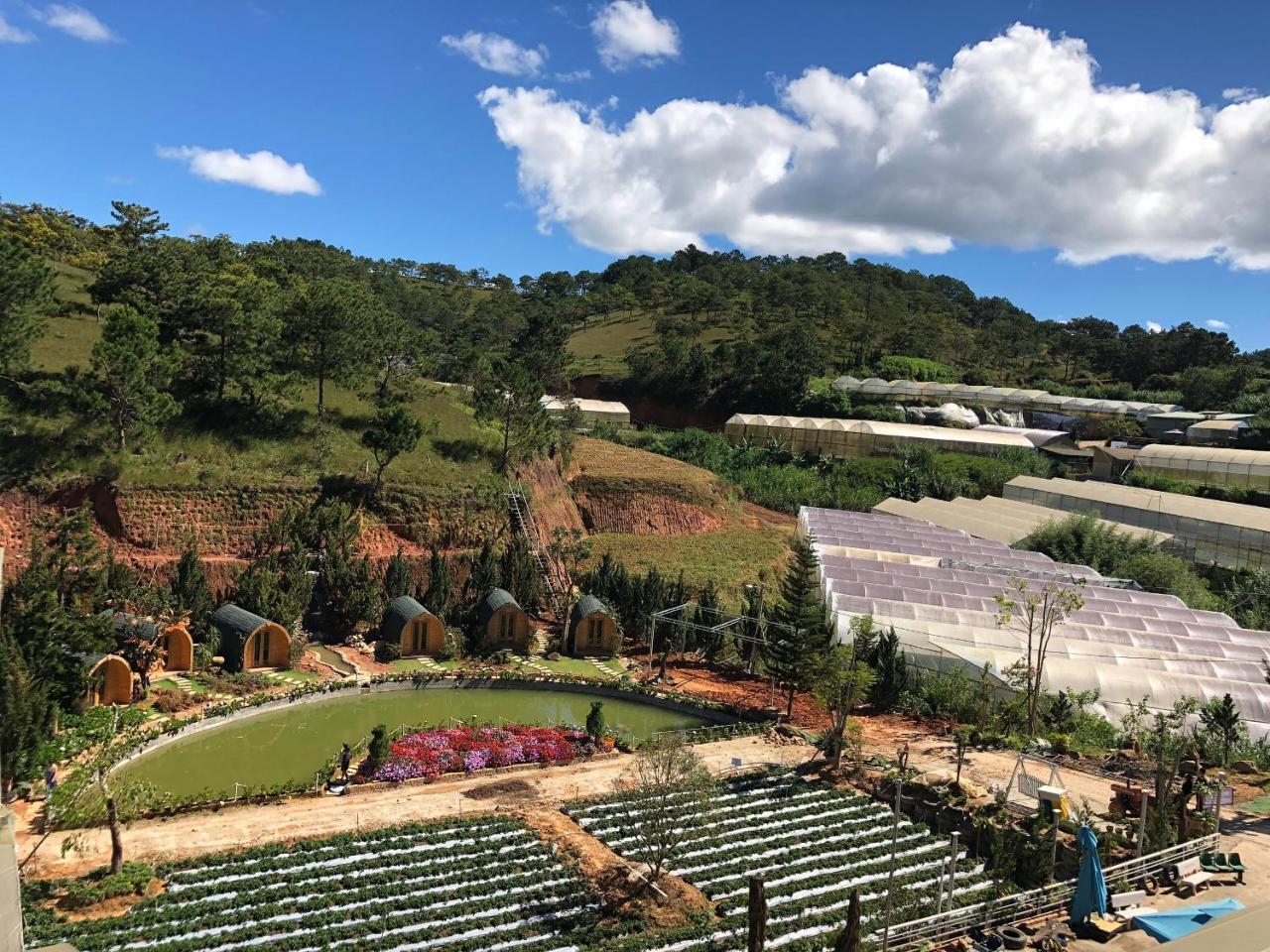 Berry Valley Homestay Dalat Luaran gambar